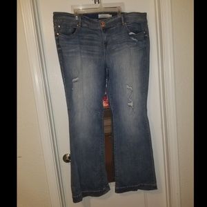 Torrid XT Jeans
